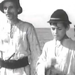 Ciulinii Bărăganului 