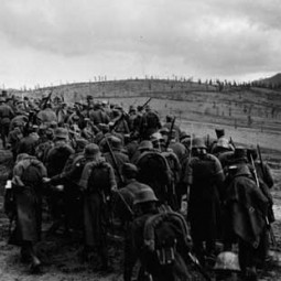 Pădurea spânzuratilor