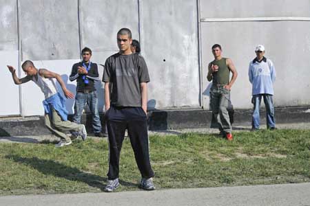 Anul cinematografic 2010